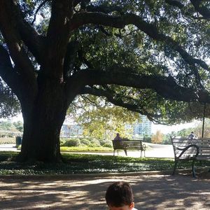 Meet your Posher, Elsa